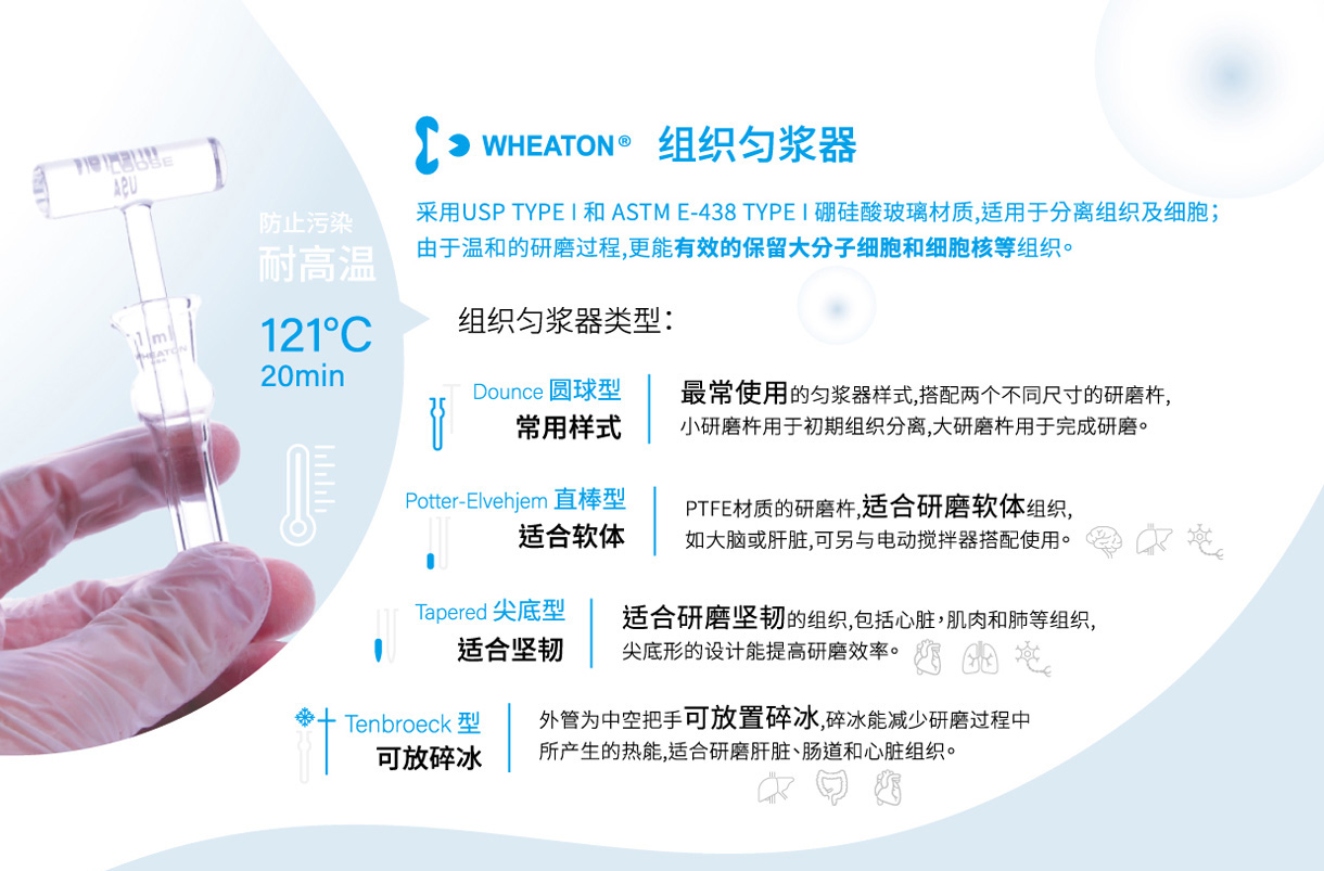 WHEATON 组织匀浆器